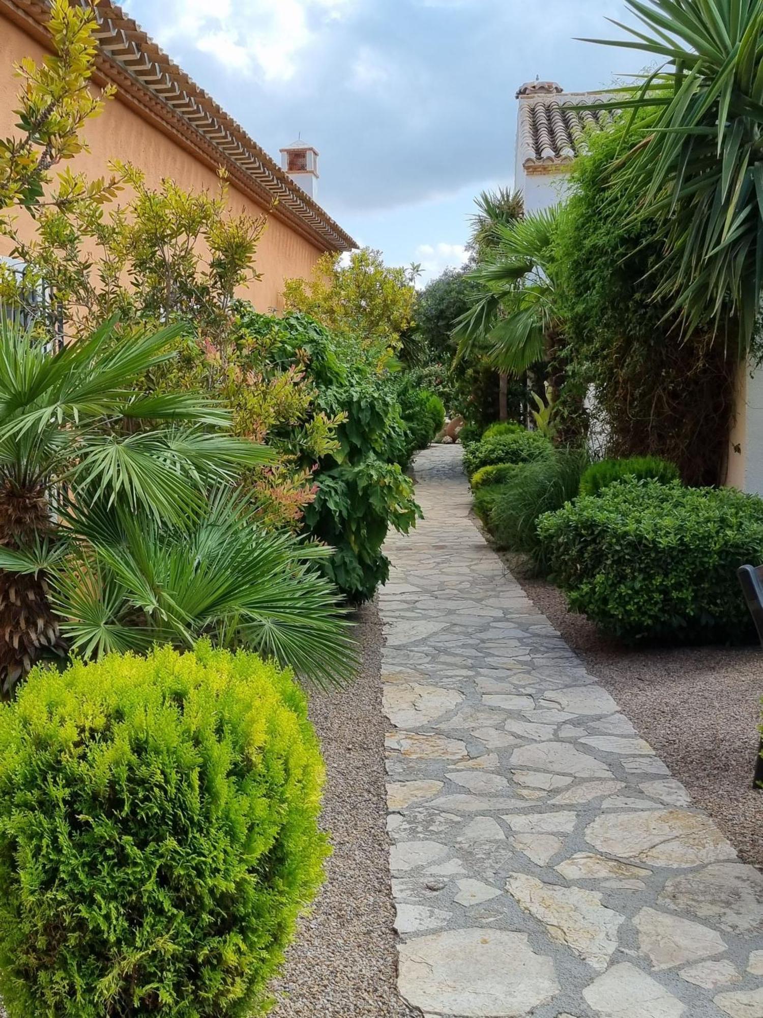 Desconexión entre olivos centenarios Villa Vélez Blanco Exterior foto