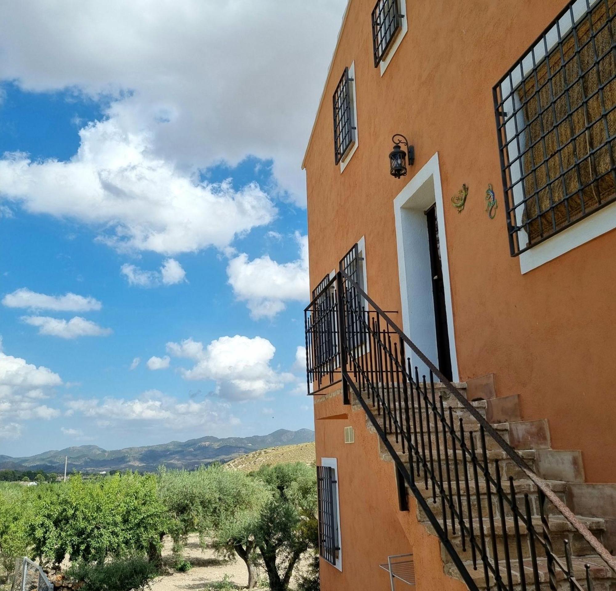 Desconexión entre olivos centenarios Villa Vélez Blanco Exterior foto