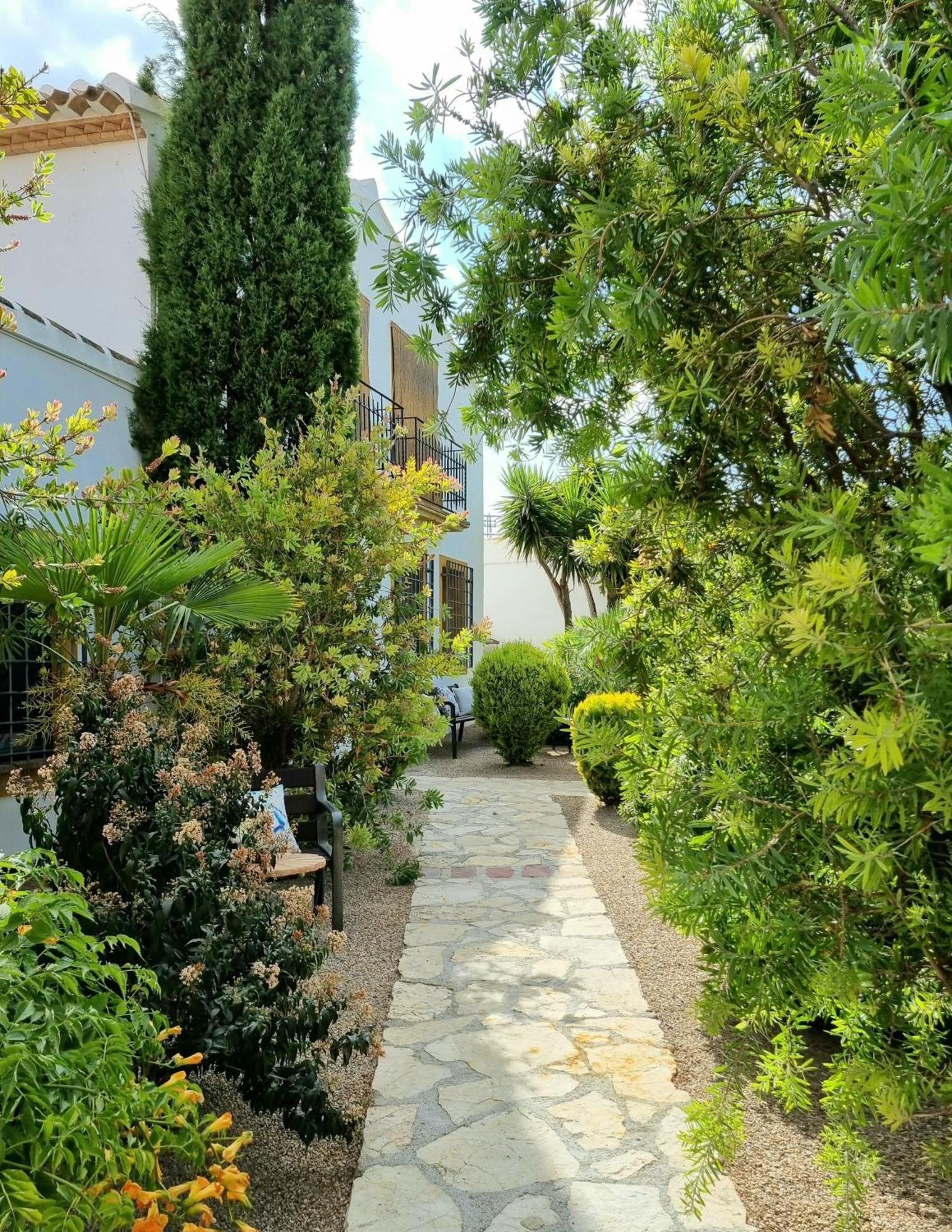 Desconexión entre olivos centenarios Villa Vélez Blanco Exterior foto